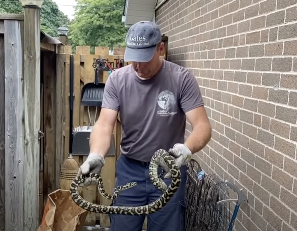 Snake Control & Removal